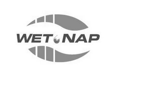 WET NAP logo