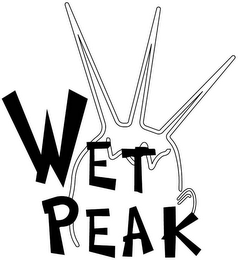 WET PEAK logo