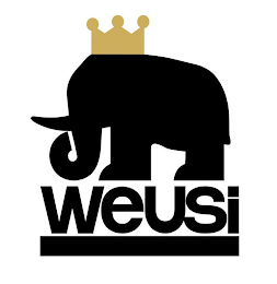 WEUSI logo
