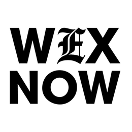 WEX NOW logo