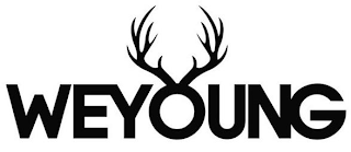 WEYOUNG logo