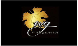 WG WINE & GRAPES SPA logo