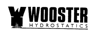 WH WOOSTER HYDROSTATICS logo