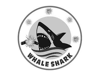 WHALE SHARK logo