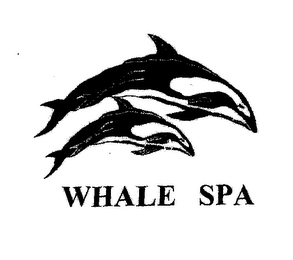 WHALE SPA logo