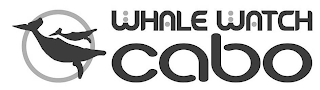 WHALE WATCH CABO logo