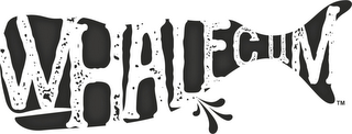 WHALECUM logo