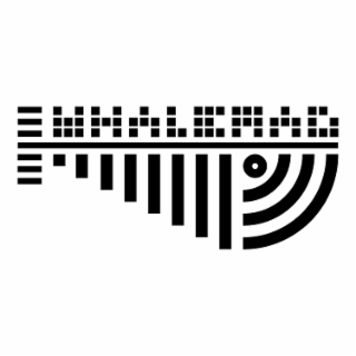 WHALEMAG logo
