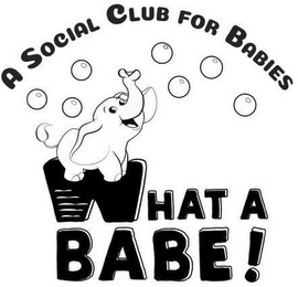 WHAT A BABE! A SOCIAL CLUB FOR BABIES logo