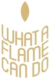 WHAT A FLAME CAN DO logo