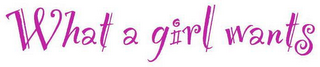 WHAT A GIRL WANTS logo