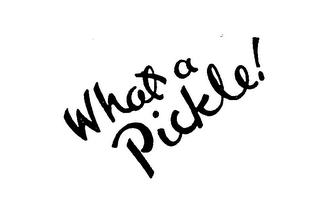 WHAT A PICKLE! logo