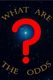WHAT ARE THE ODDS? logo