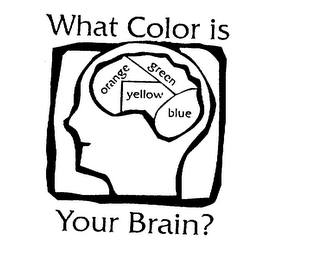 WHAT COLOR IS YOUR BRAIN? ORANGE YELLOW logo