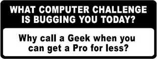 WHAT COMPUTER CHALLENGE IS BUGGING YOU TODAY? WHY CALL A GEEK WHEN YOU CAN GET A PRO FOR LESS? logo