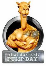 WHAT DAY IS IT? PUMP DAY! logo
