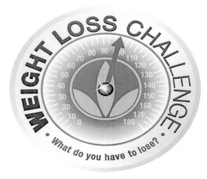 WHAT DO YOU HAVE TO LOSE? WEIGHT LOSS CHALLENGE logo