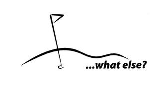 WHAT ELSE? logo