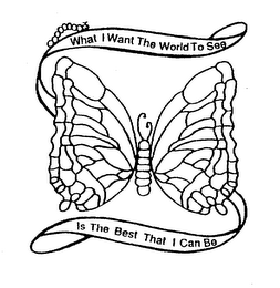 WHAT I WANT THE WORLD TO SEE IS THE BEST THAT I CAN BE logo