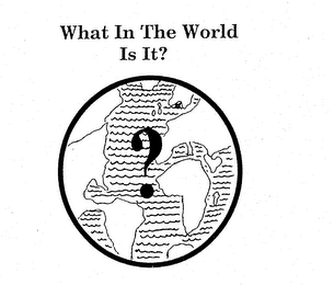 WHAT IN THE WORLD IS IT? logo