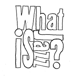 WHAT IS JAZZ? logo