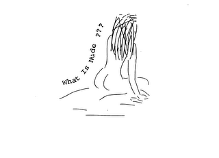WHAT IS NUDE ??? logo