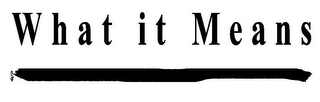 WHAT IT MEANS logo