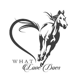 WHAT LOVE DOES logo