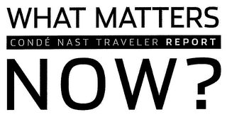 WHAT MATTERS NOW? CONDÉ NAST TRAVELER REPORT logo