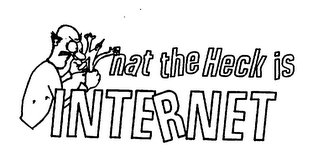 WHAT THE HECK IS INTERNET