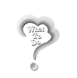 WHAT TO DO? logo