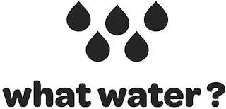 WHAT WATER ? logo