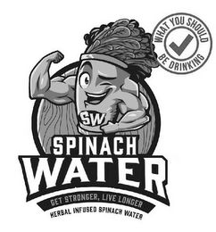 WHAT YOU SHOULD BE DRINKING SW SPINACH WATER GET STRONGER, LIVE LONGER HERBAL INFUSED SPINACH WATER logo