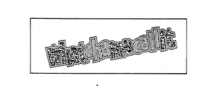 WHATCHAMACALLIT logo
