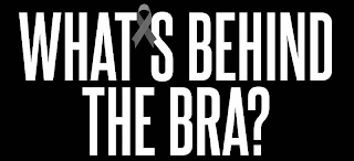 WHAT'S BEHIND THE BRA? logo