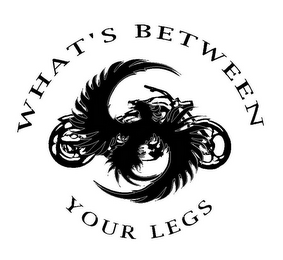 WHAT'S BETWEEN YOUR LEGS logo