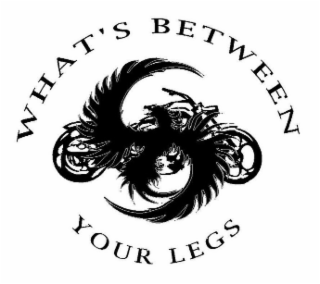 WHAT'S BETWEEN YOUR LEGS logo