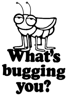 WHAT'S BUGGING YOU? logo