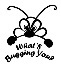WHAT'S BUGGING YOU? logo
