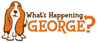 WHAT'S HAPPENING GEORGE logo