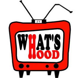WHAT'S HOOD E 4 logo