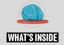 WHAT'S INSIDE logo