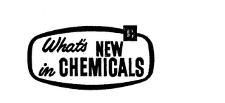 WHAT'S NEW IN CHEMICALS logo