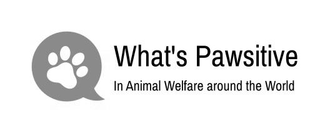 WHAT'S PAWSITIVE IN ANIMAL WELFARE AROUND THE WORLD logo