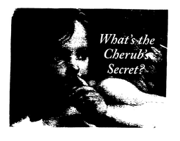 WHAT'S THE CHERUB'S SECRET? logo