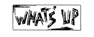 WHAT'S UP logo