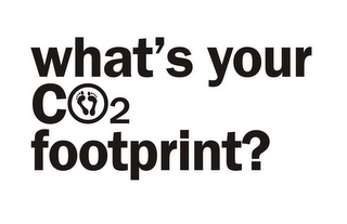 WHAT'S YOUR CO2 FOOTPRINT? logo