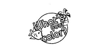 WHAT'S YOUR COLOR? logo