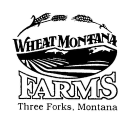 WHEAT MONTANA FARMS THREE FORKS, MONTANA logo