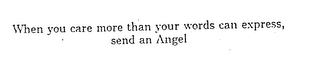 WHEN YOU CARE MORE THAN YOUR WORDS CAN EXPRESS, SEND AN ANGEL logo